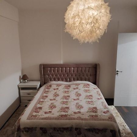 Roşu The Unique Apartment מראה חיצוני תמונה