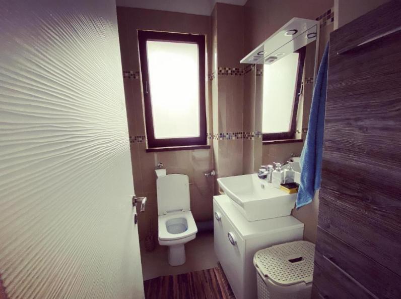 Roşu The Unique Apartment מראה חיצוני תמונה