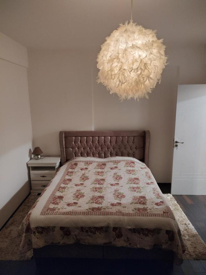 Roşu The Unique Apartment מראה חיצוני תמונה